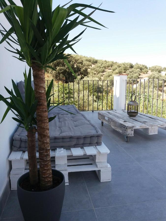 Suite Junior con terraza