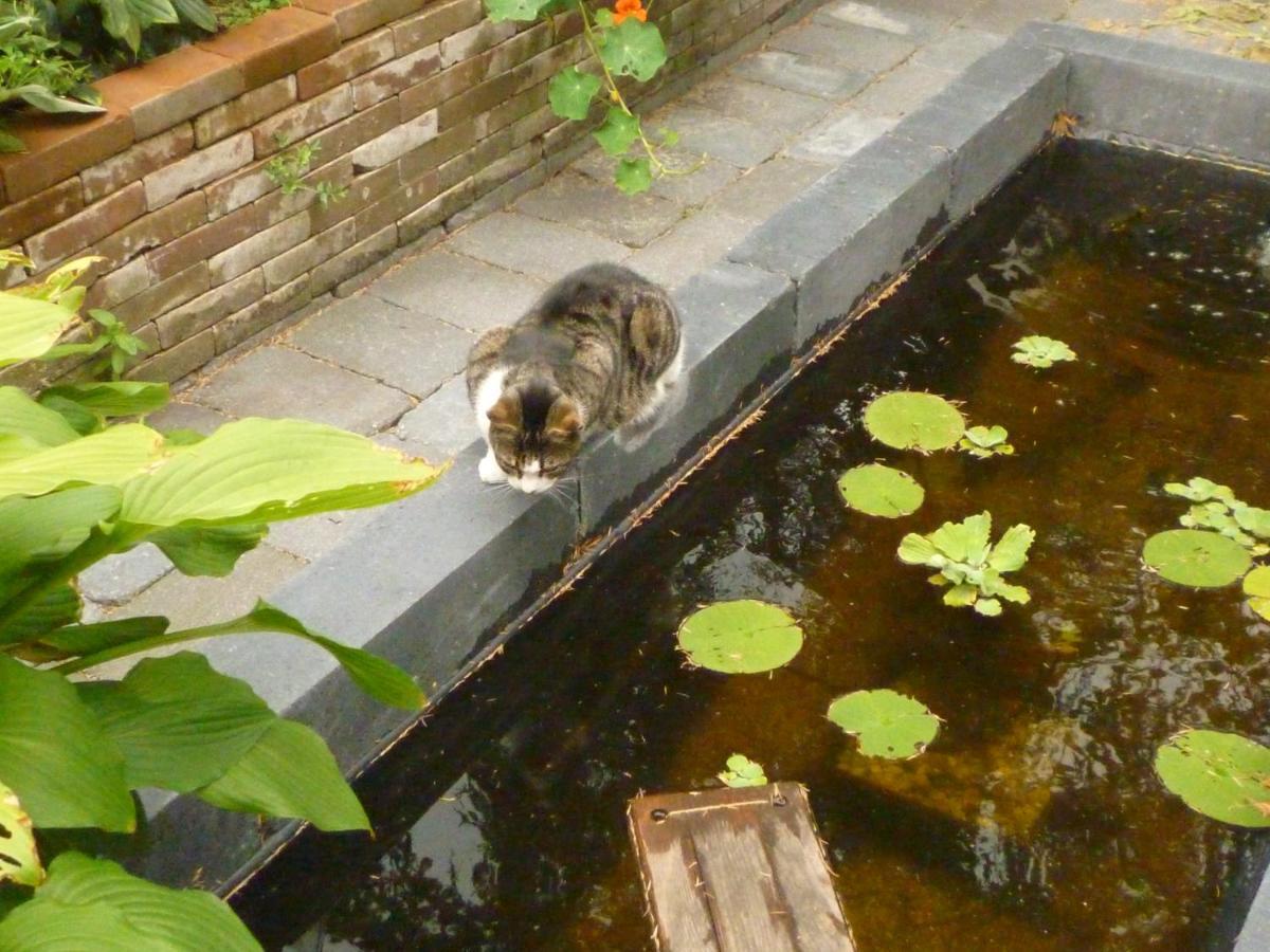 Tweepersoonskamer met Uitzicht op de Tuin