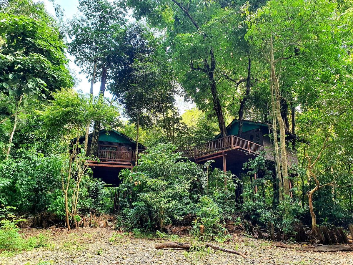 Treehouse Double,1121114073:JPEG