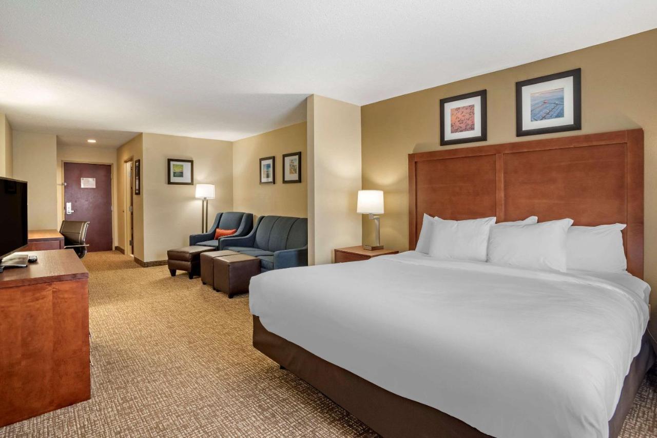 1 Room Suite, 1 King Bed, 2 Person Sofa Bed, Non-Smoking