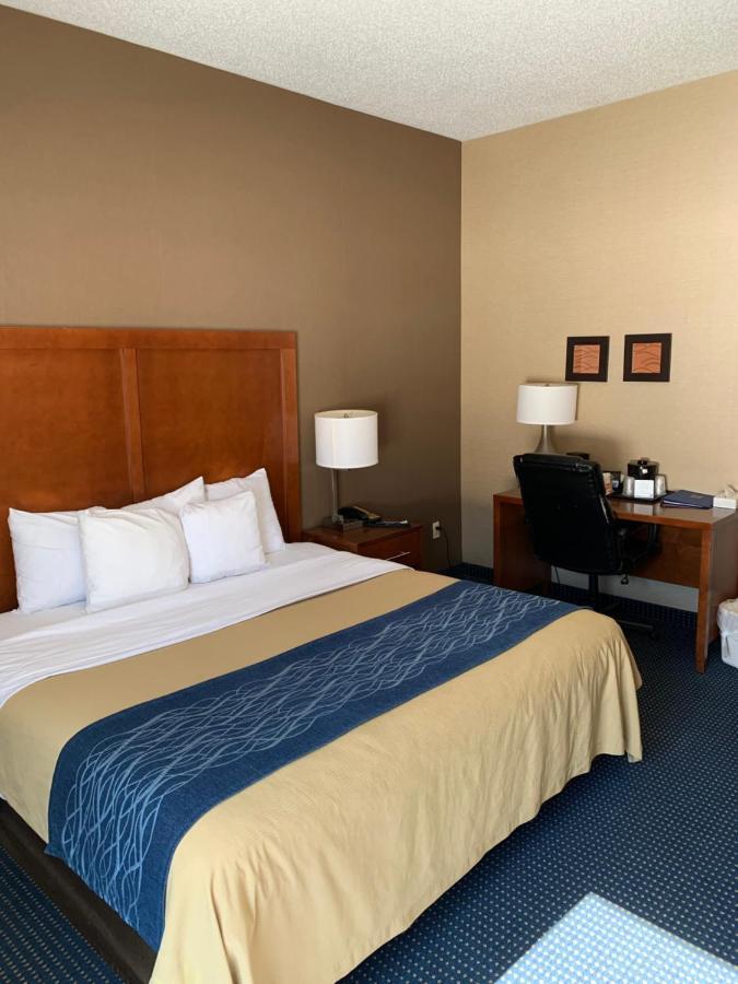 King Room with Roll-In Shower - Disability Access,1276691584:JPEG