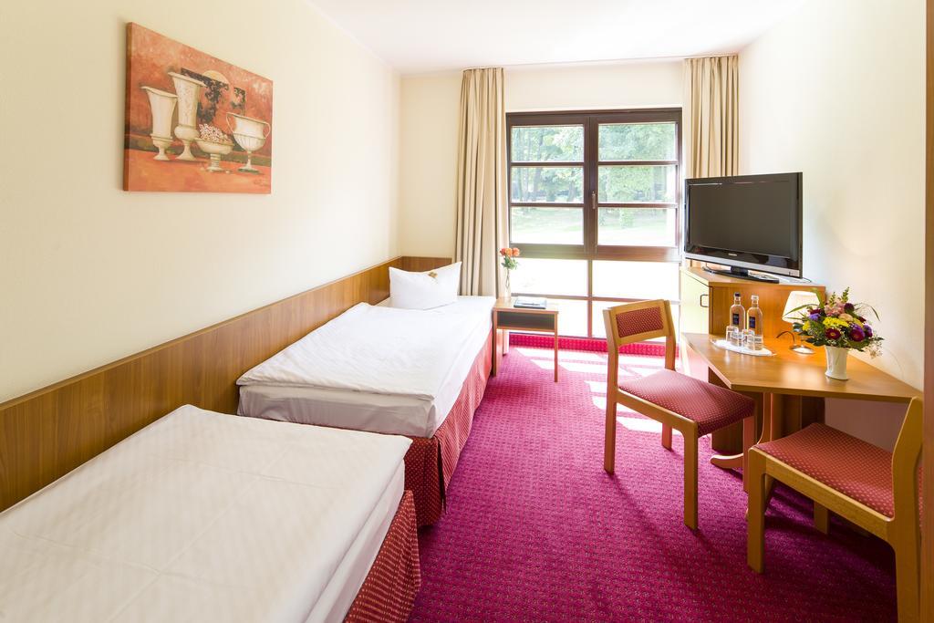 Single Room,65051986:JPEG