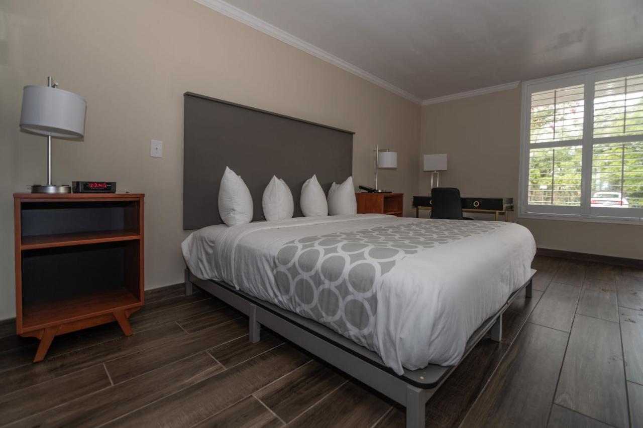 King Room - Disability Access