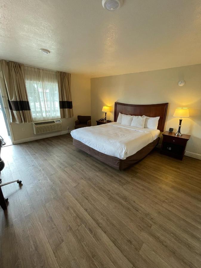 Habitación con cama extragrande adaptada para persona de movilidad reducida - No fumadores