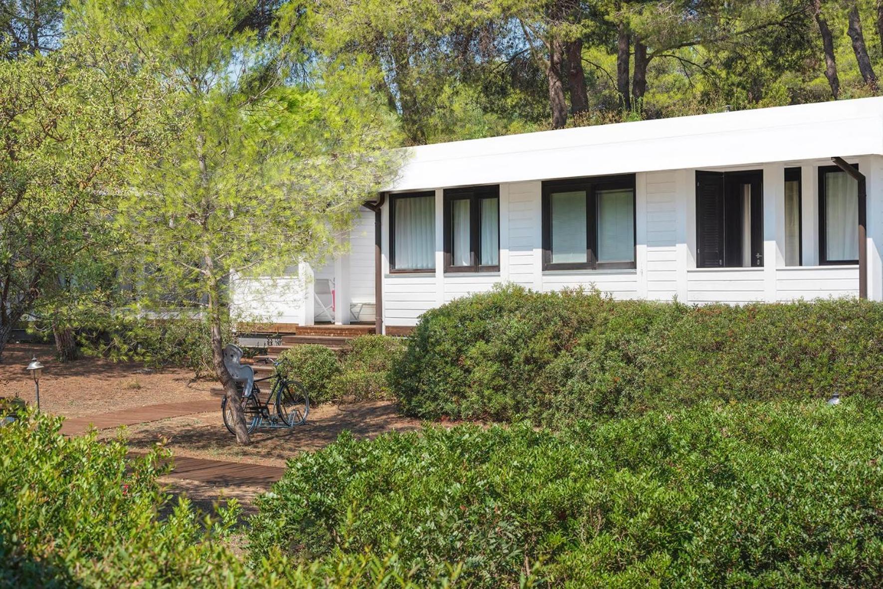Suite Deluxe Ecolodge