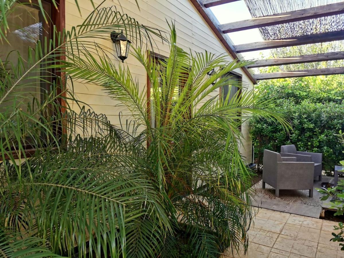 Appartamento con 1 Camera da Letto e Terrazza