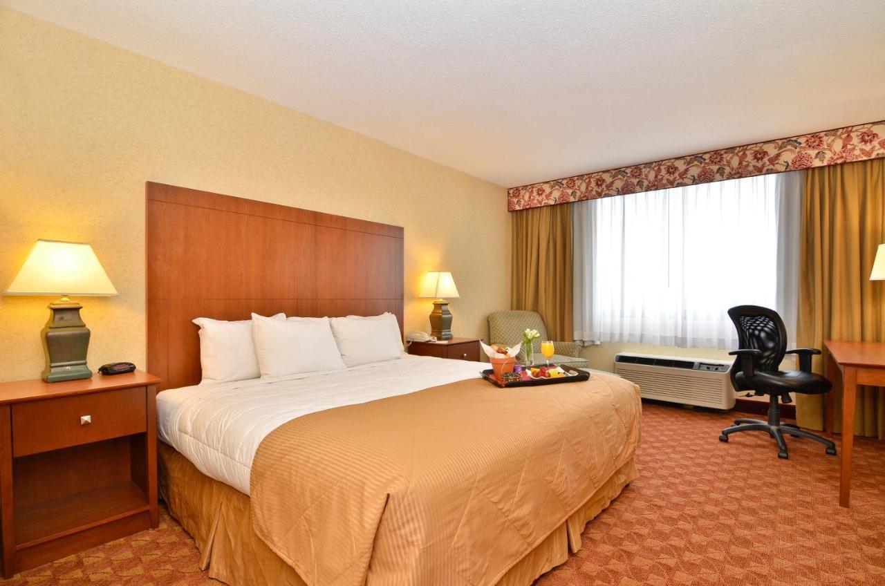 King Room - Pet Friendly/Non-Smoking,1157598399:JPEG