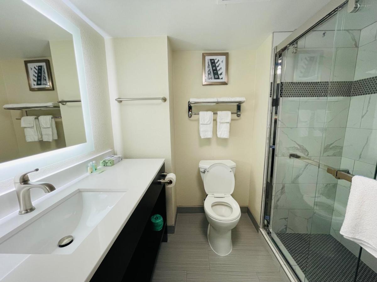 Efficiency Room with Two Double Beds - Non Smoking