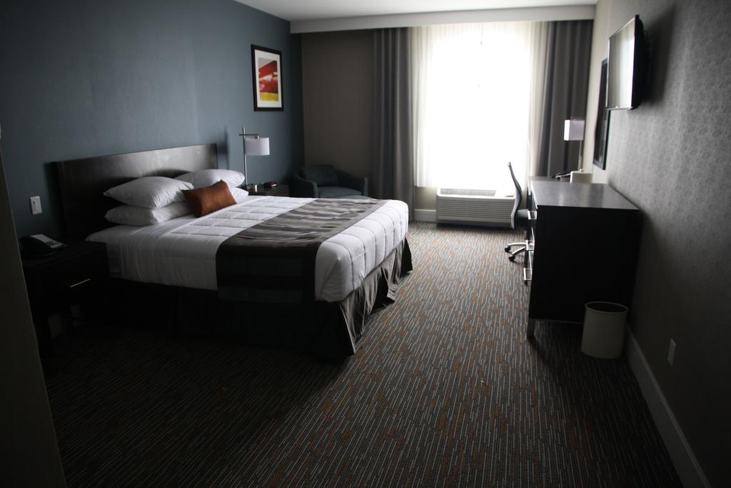 King Room - Non-Smoking