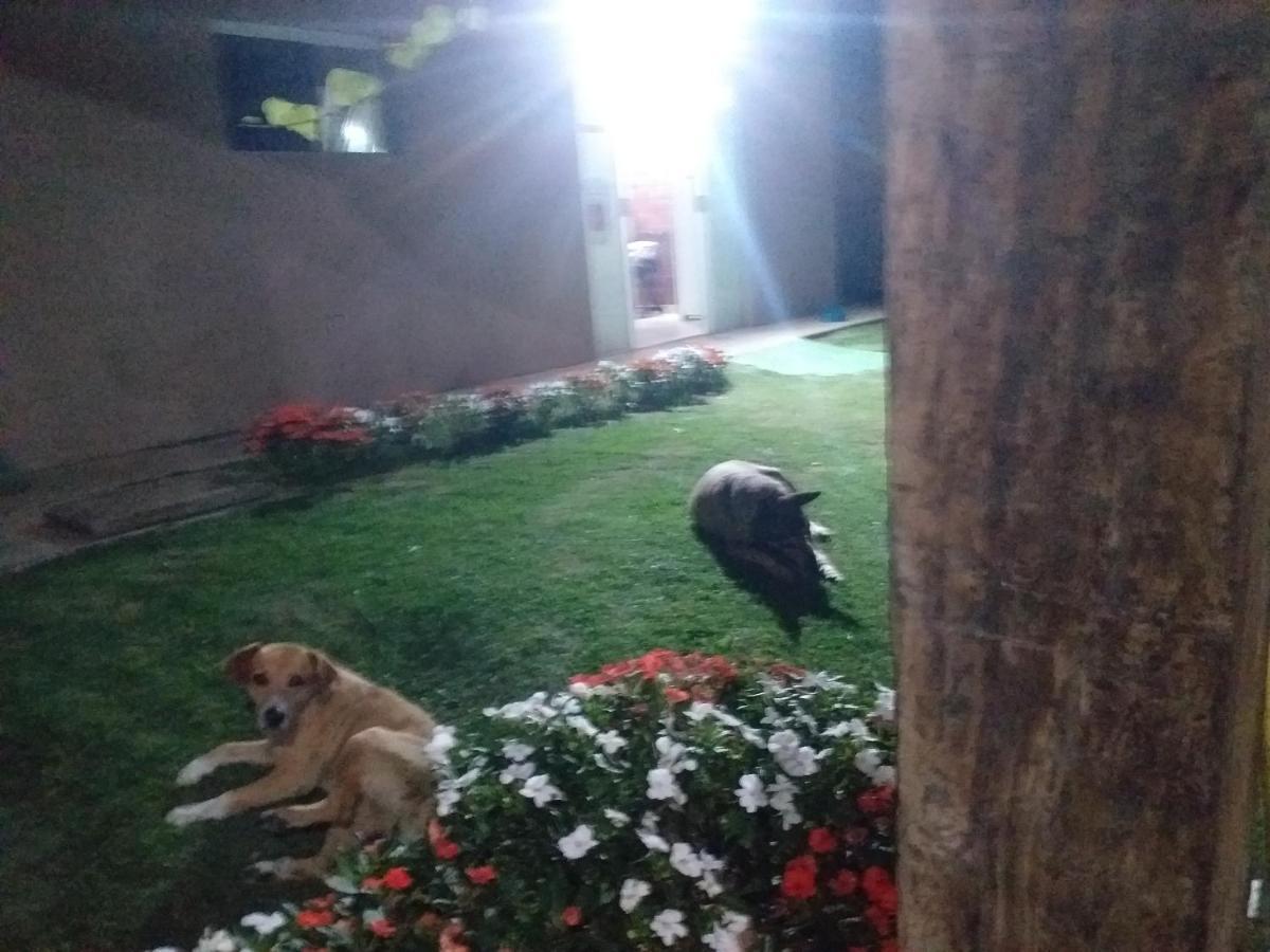 Quarto Quádruplo com Vista do Jardim