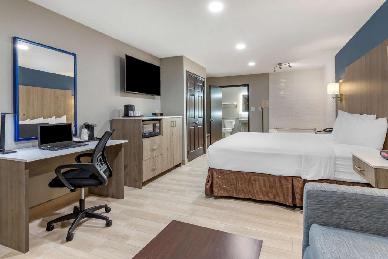 King Room with Sofa Bed and Walk-In Shower - Disability Access/Non-Smoking