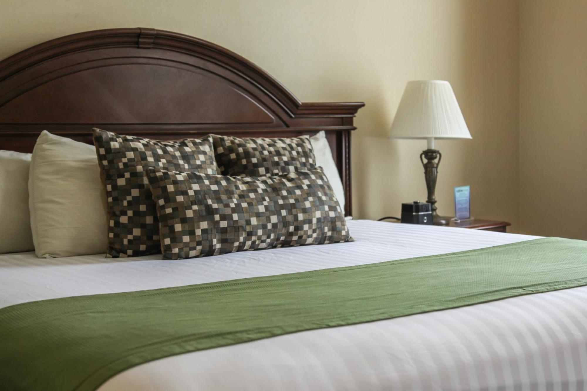 Habitación Estándar - Cama extragrande