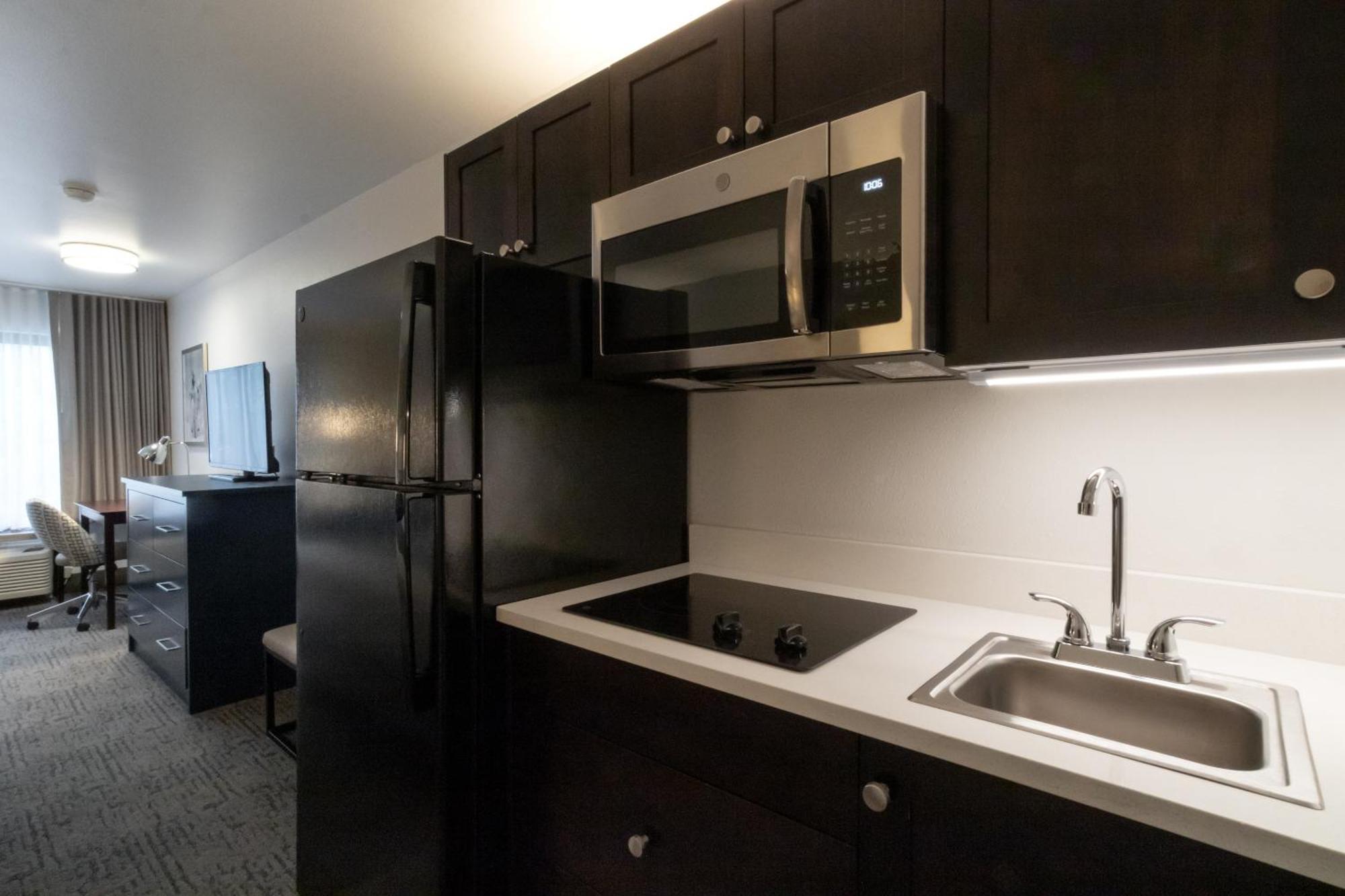 Extended King Suite Sleeper Sofa Kitchenette