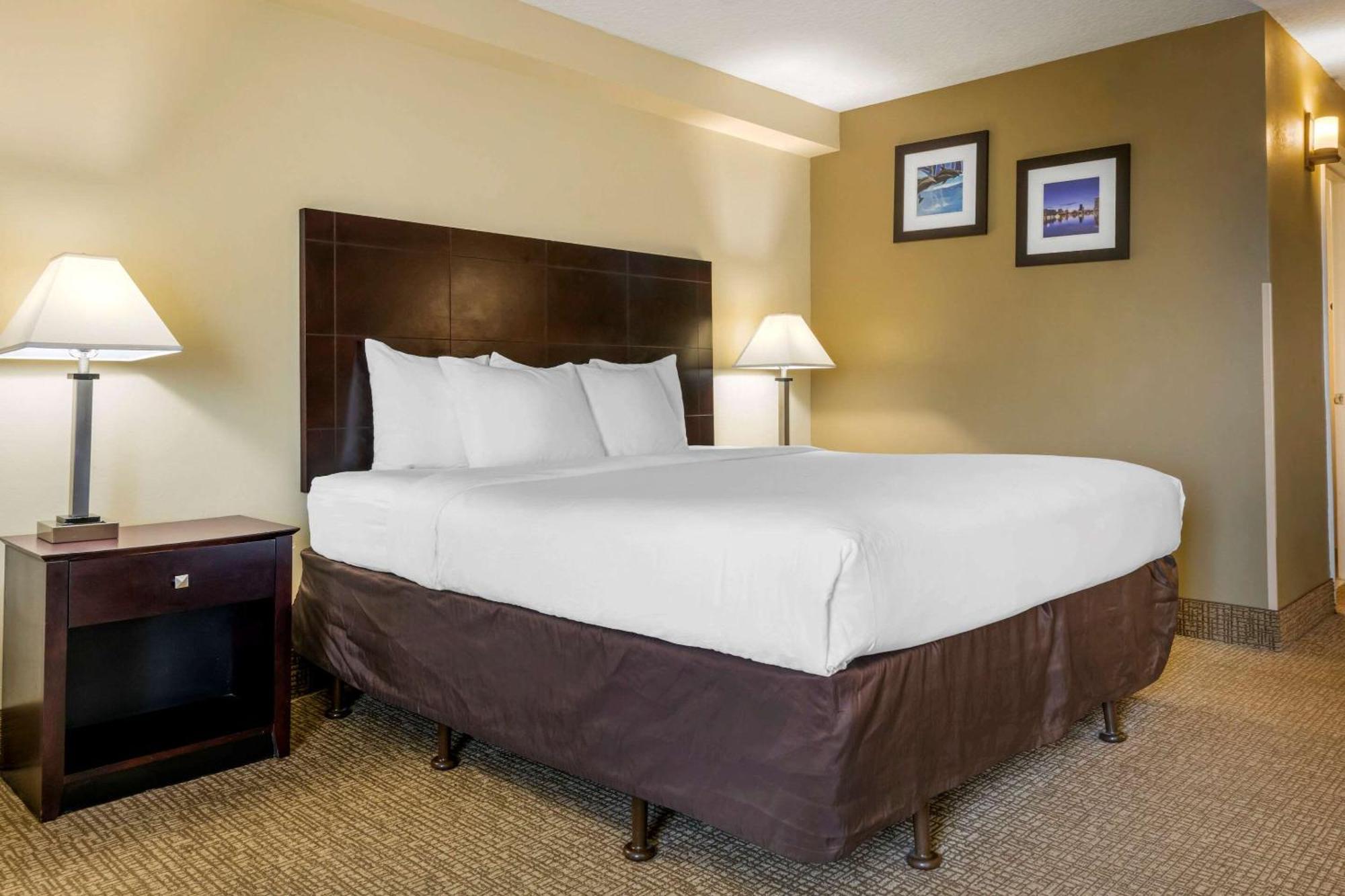 King Room - Sofa Bed,1276364854:JPEG