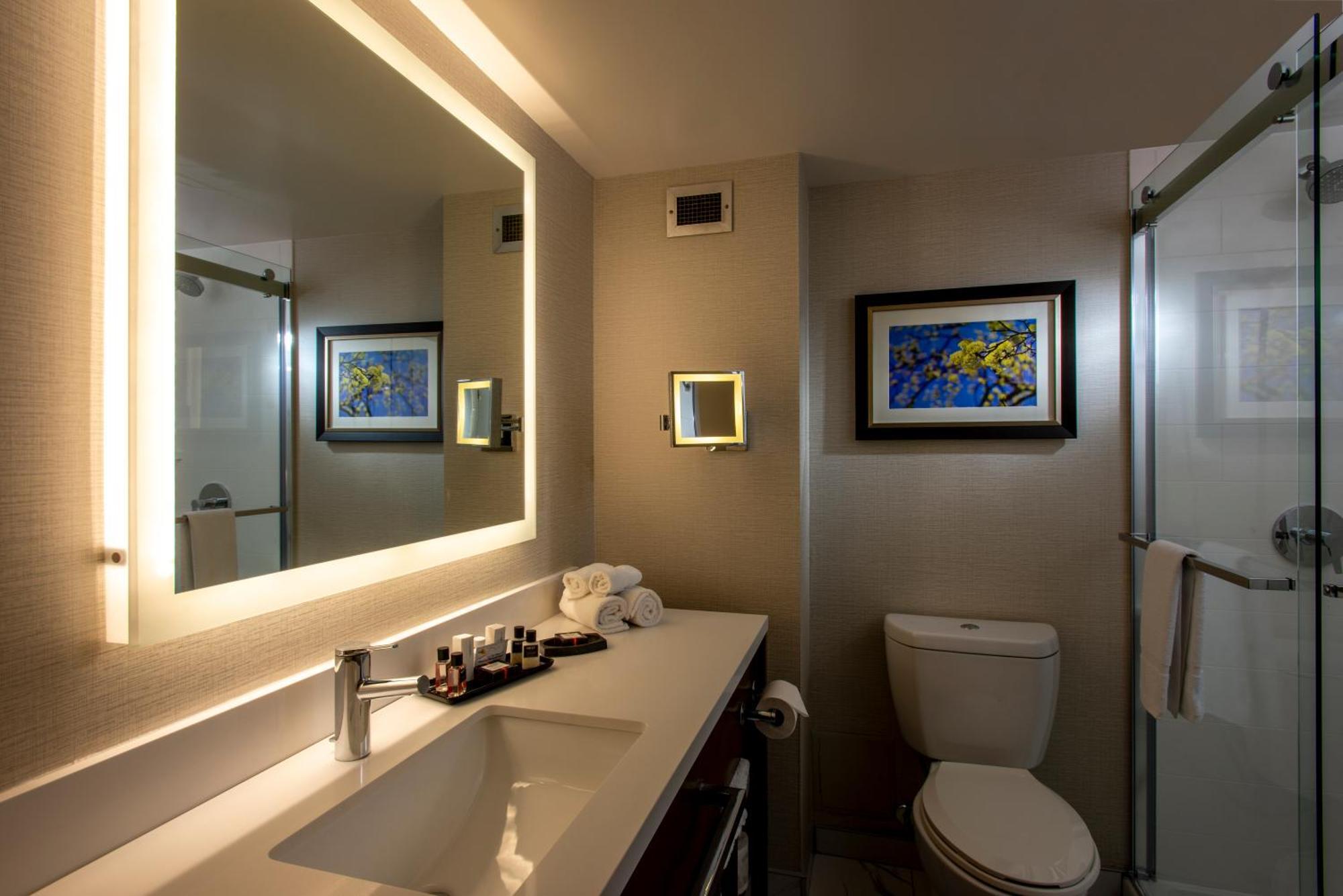 Chambre Studio Lit King-Size