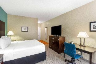 King Room with Mobility/Hearing Impaired Access - Non-Smoking
