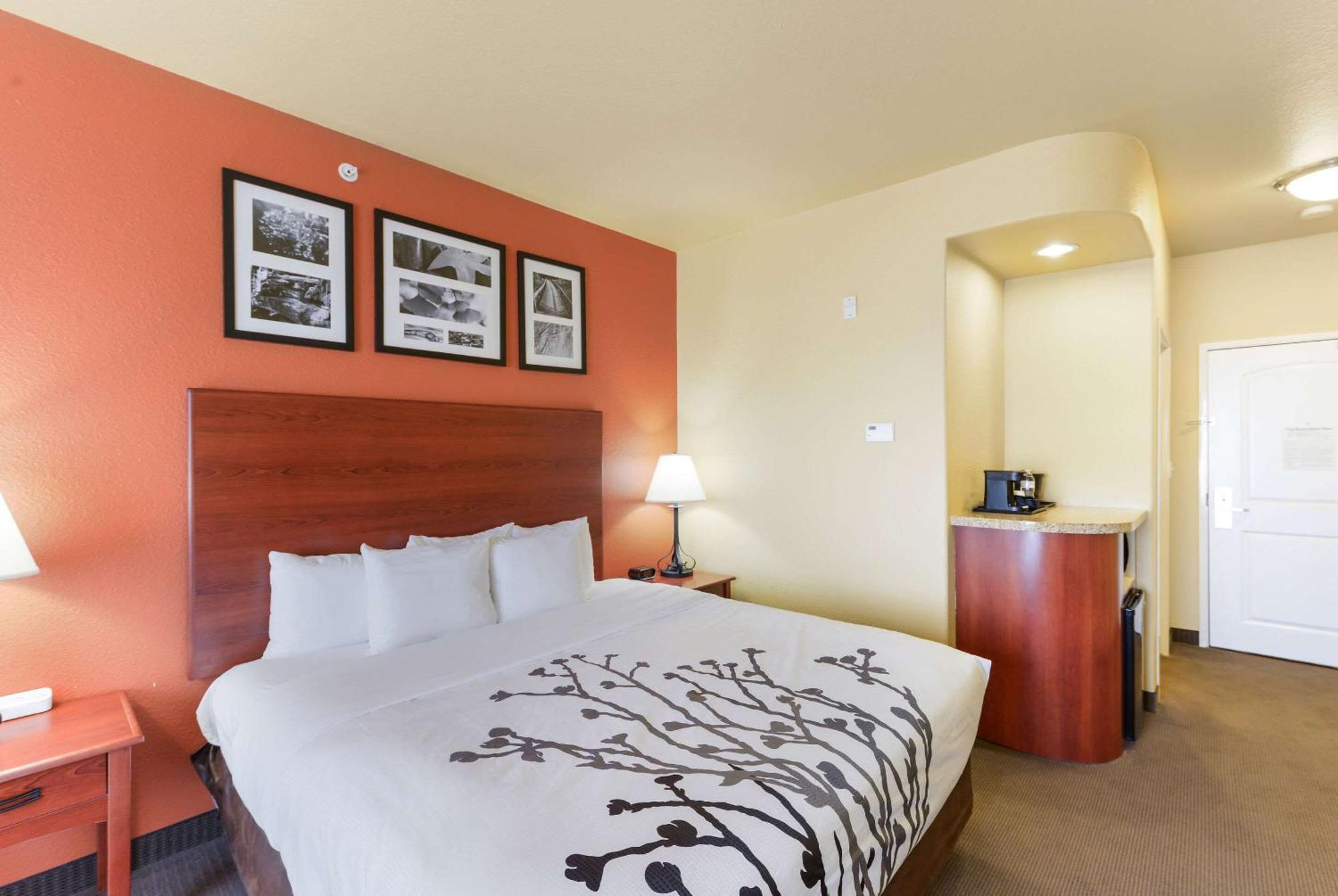 King Room - Accessible/Non-Smoking
