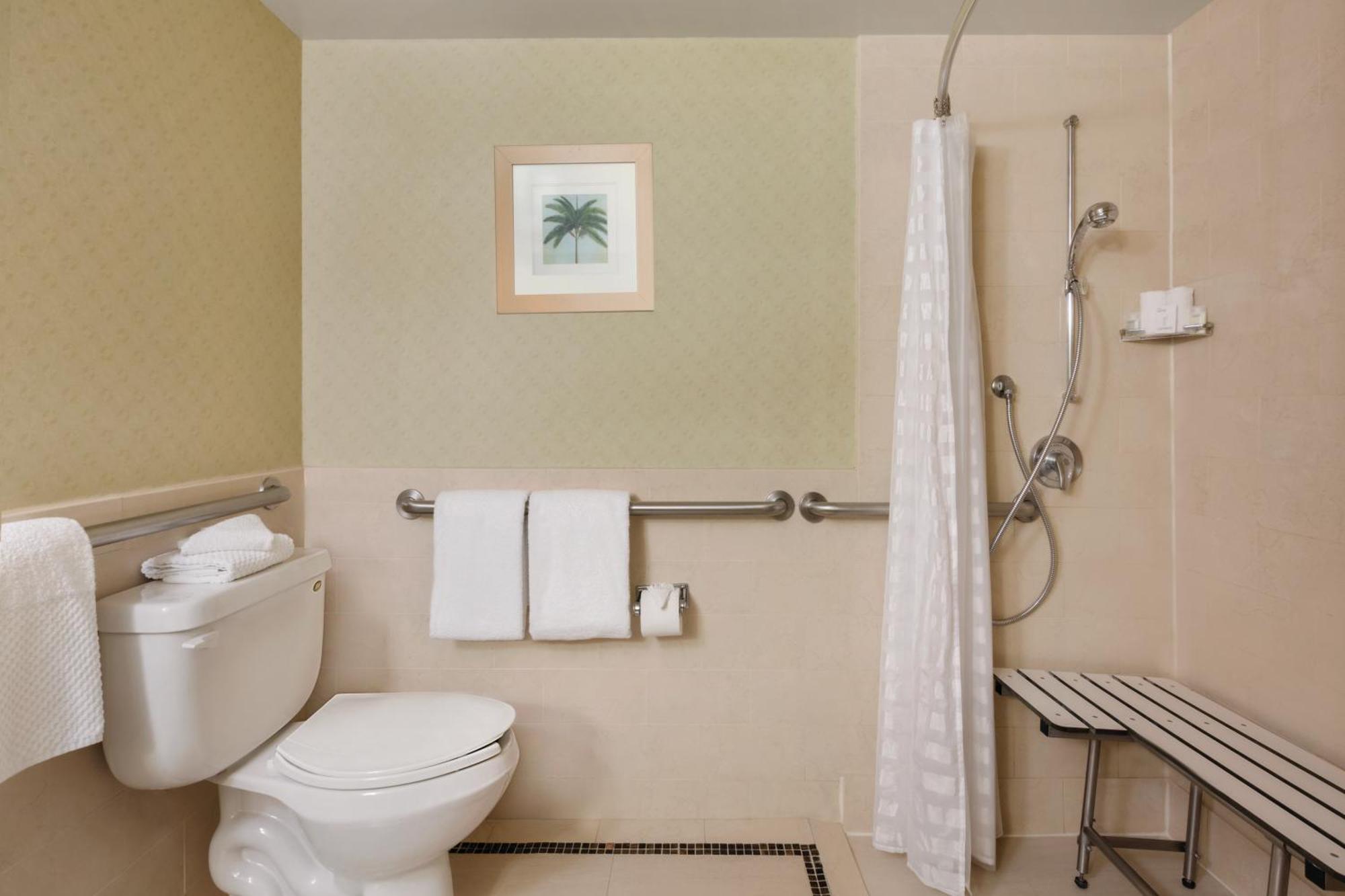 One-Bedroom King Suite with Roll-In Shower - Mobility Access/Non-Smoking