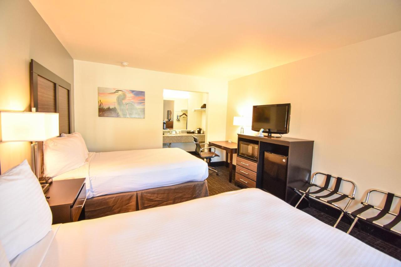 Double Room with Two Double Beds - Non-Smoking,1226247524:JPEG
