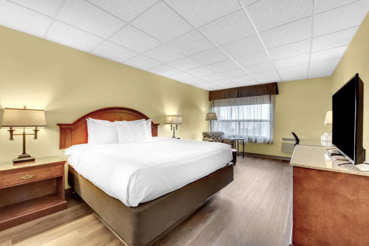 King Room Pet Friendly,1231942898:JPEG