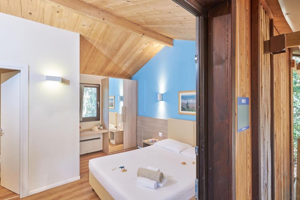 Studio Chalet,1231600550:JPEG