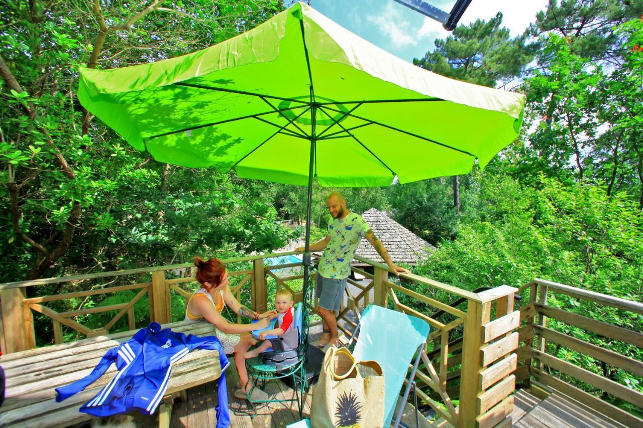 Cabane dans les Arbres (4 à 5 Personnes) - Tête dans les Étoiles