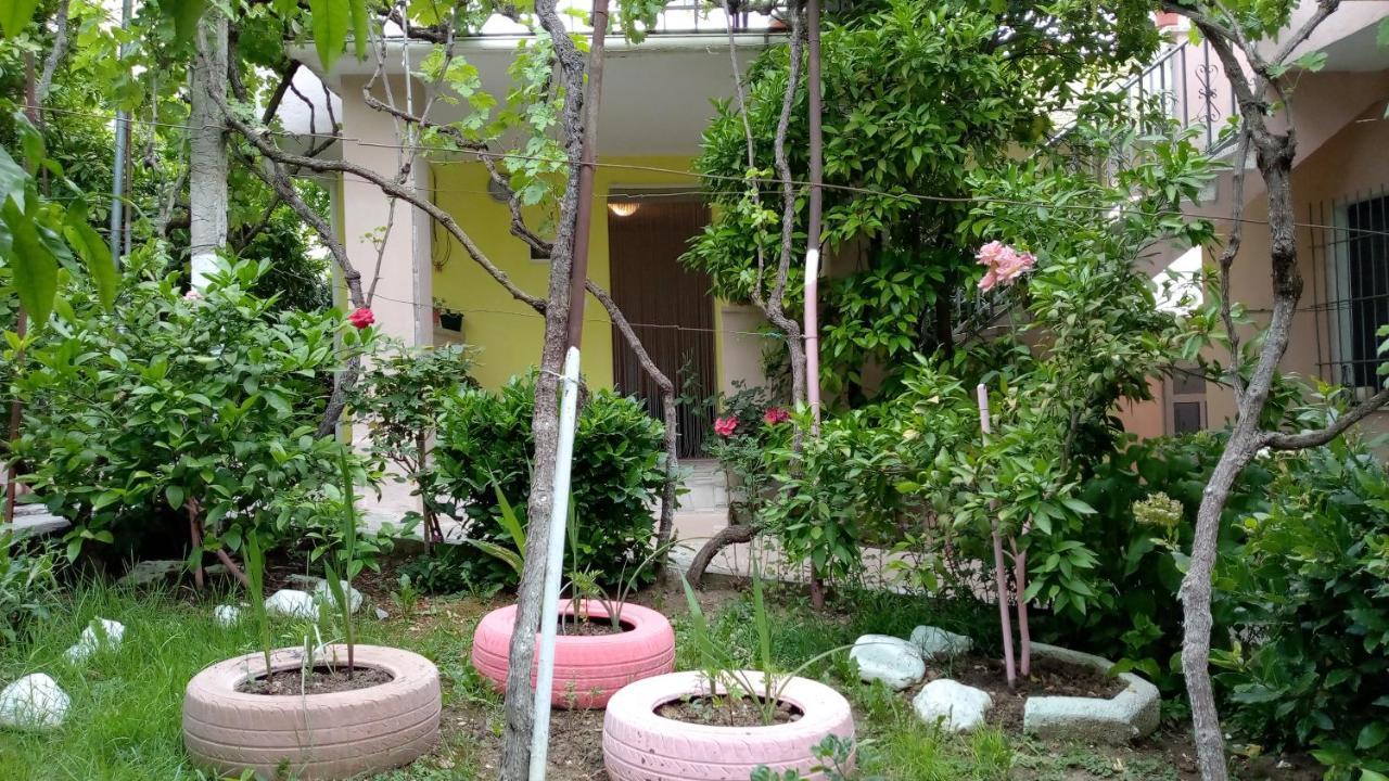 Apartment - Erdgeschoss