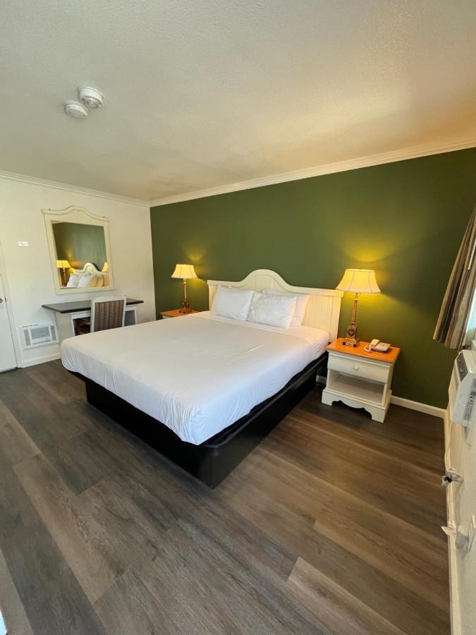 Single Room - Disability Access