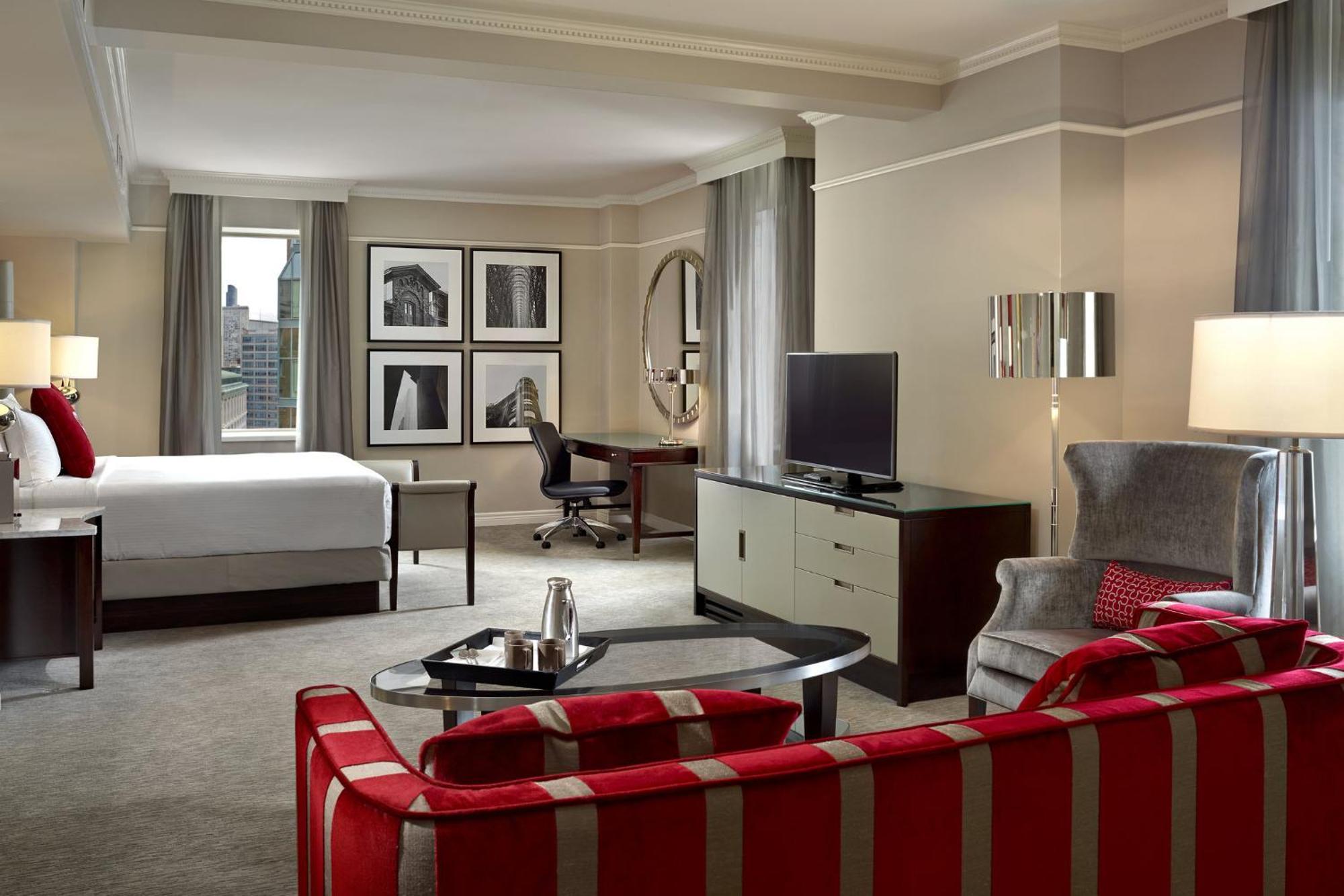 Premier Room - 1 King Bed