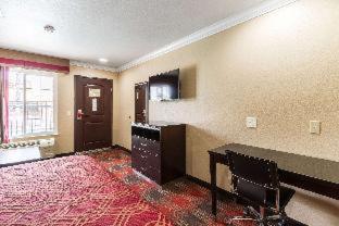 King Suite with Sofa Bed - Non-Smoking