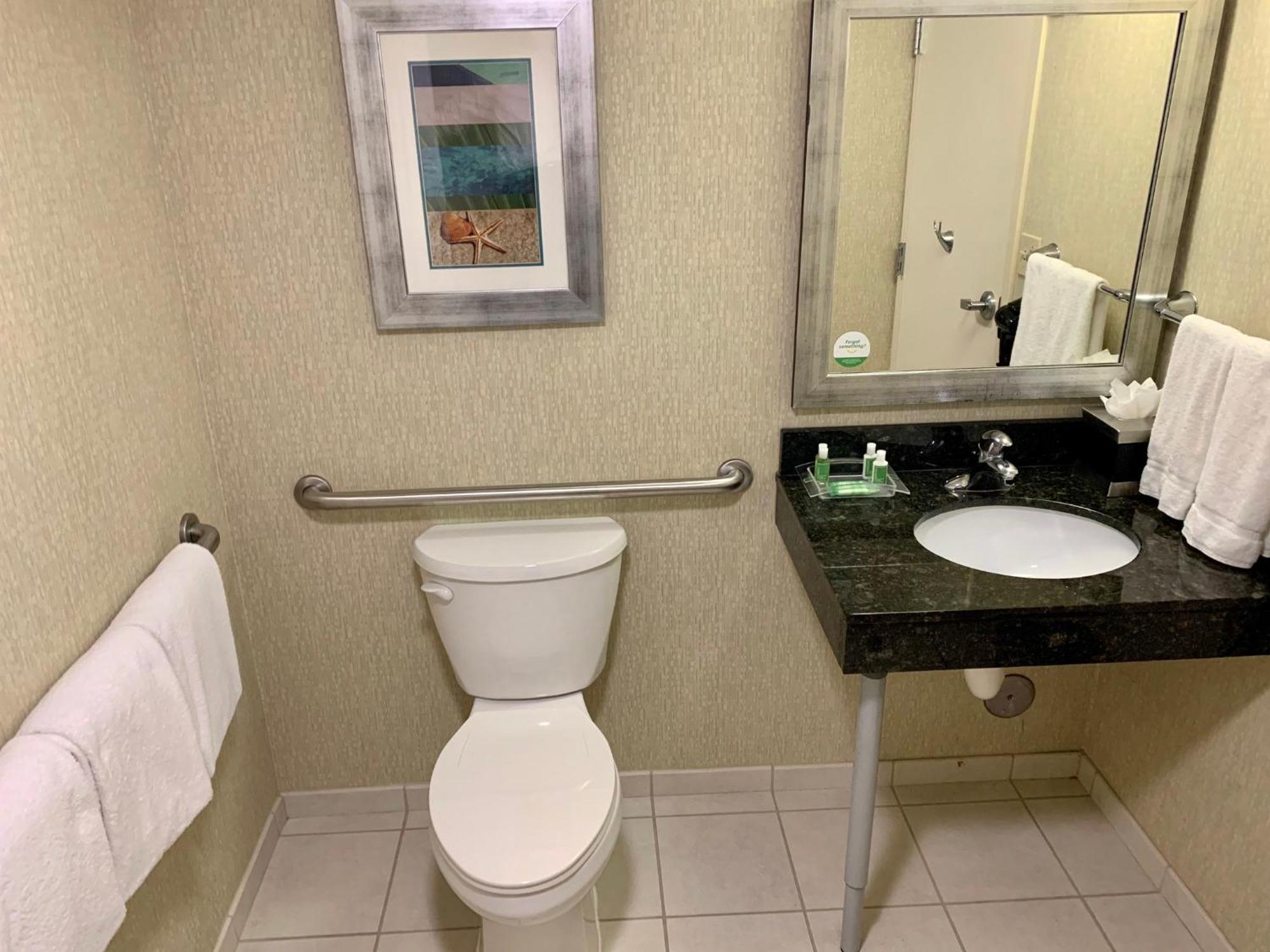 King Room Mobility Access or Roll Shower Non-Smoking