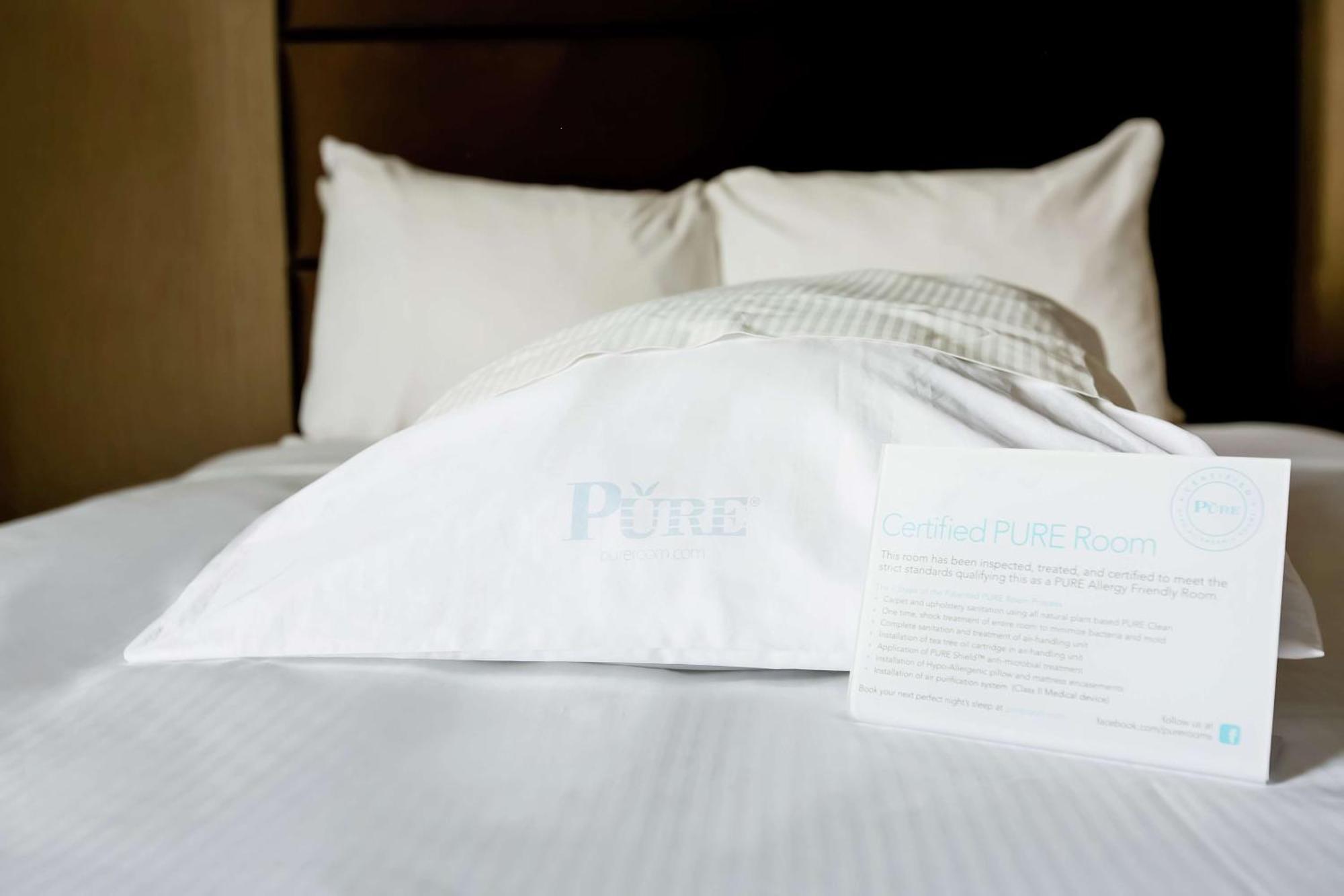 King Room - Allergy Free,1657148575:JPEG