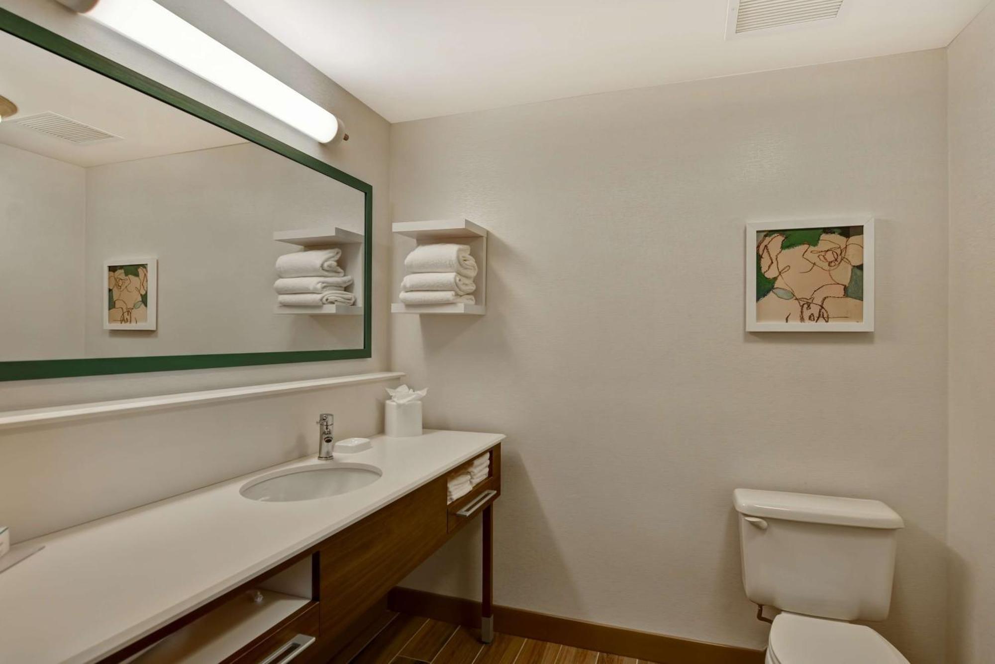 One-Bedroom King Suite with Sofa Bed - Non-Smoking