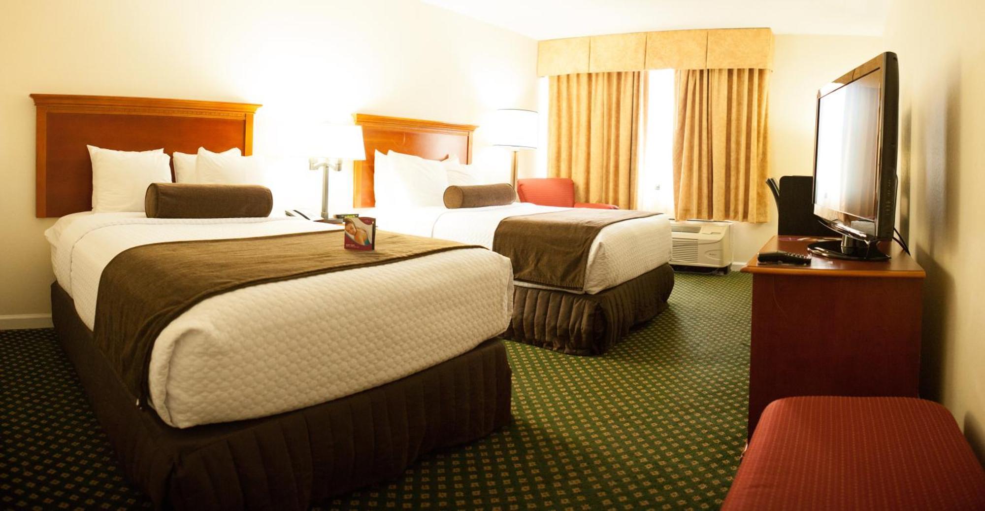 Standard Double Room with Two Double Beds