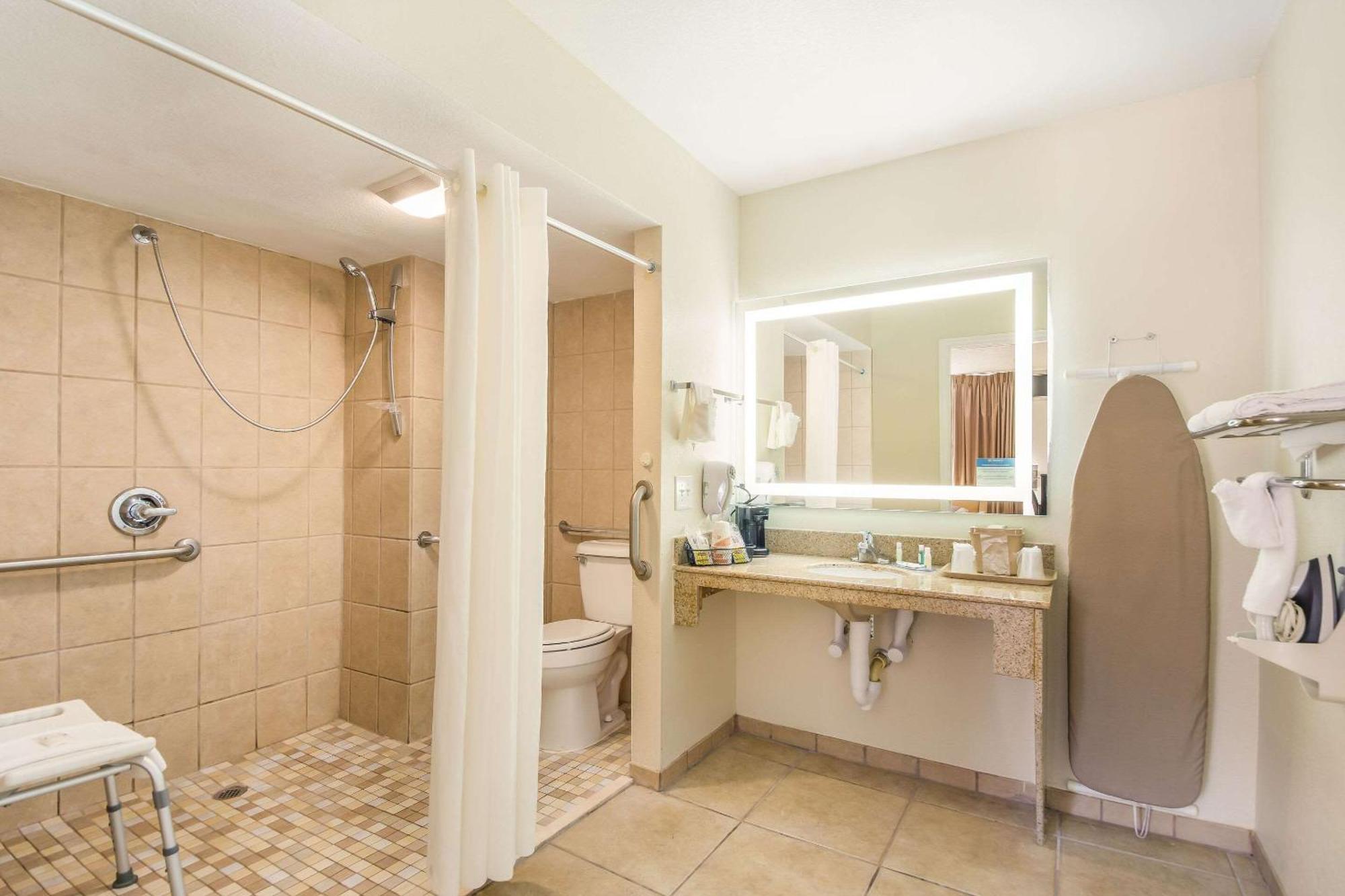 Queen Room with Roll-In Shower - Accessible/Non-Smoking