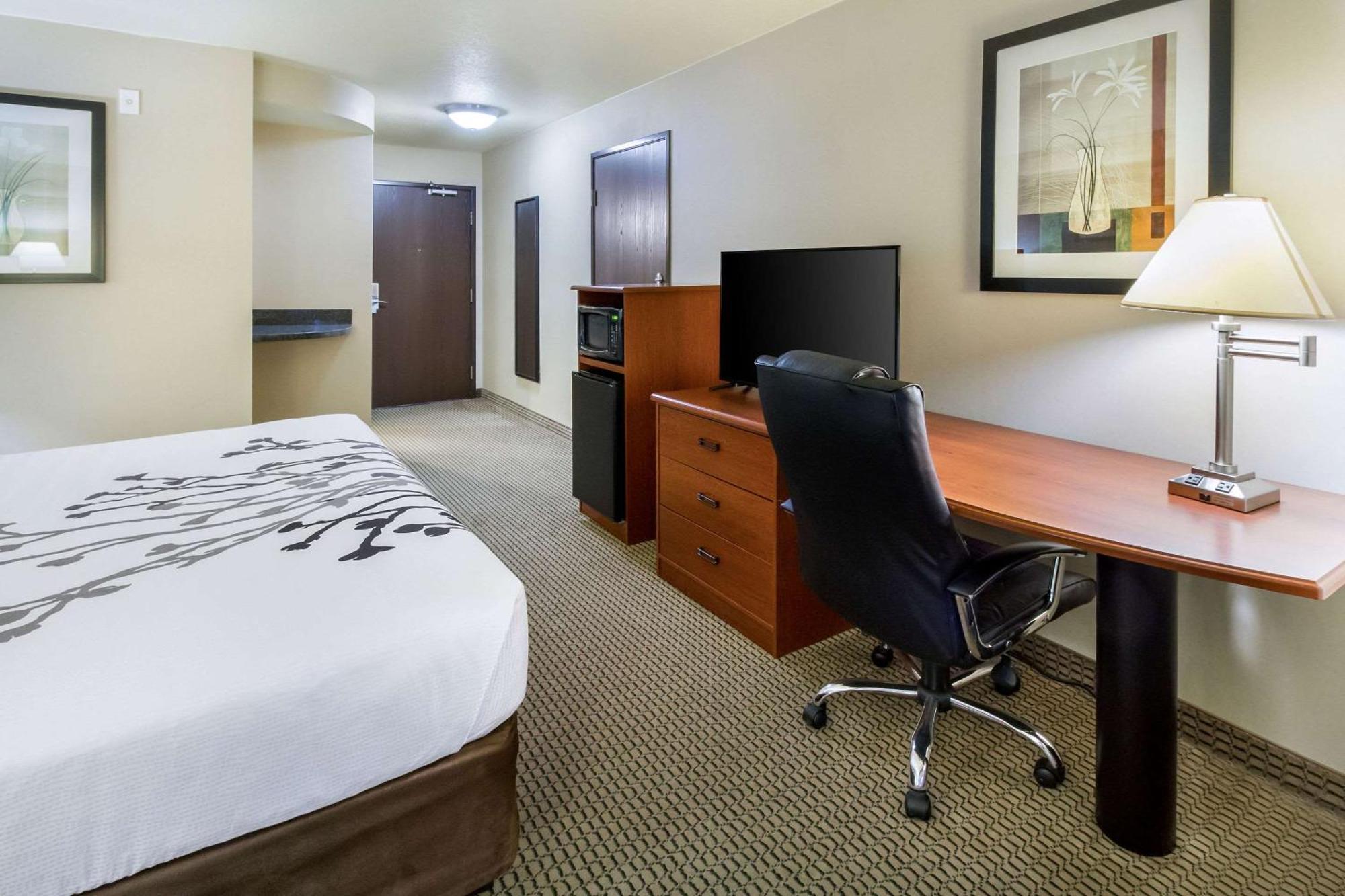 Deluxe King Room - Non-Smoking