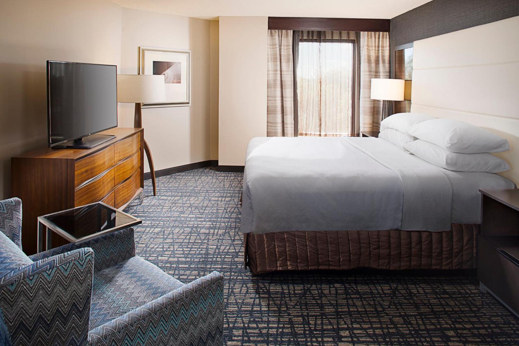 Junior King Suite with Sofa Bed