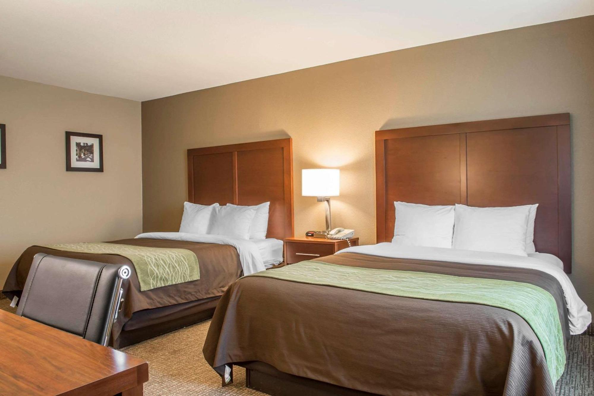 Double Room with Two Double Beds - Non-Smoking