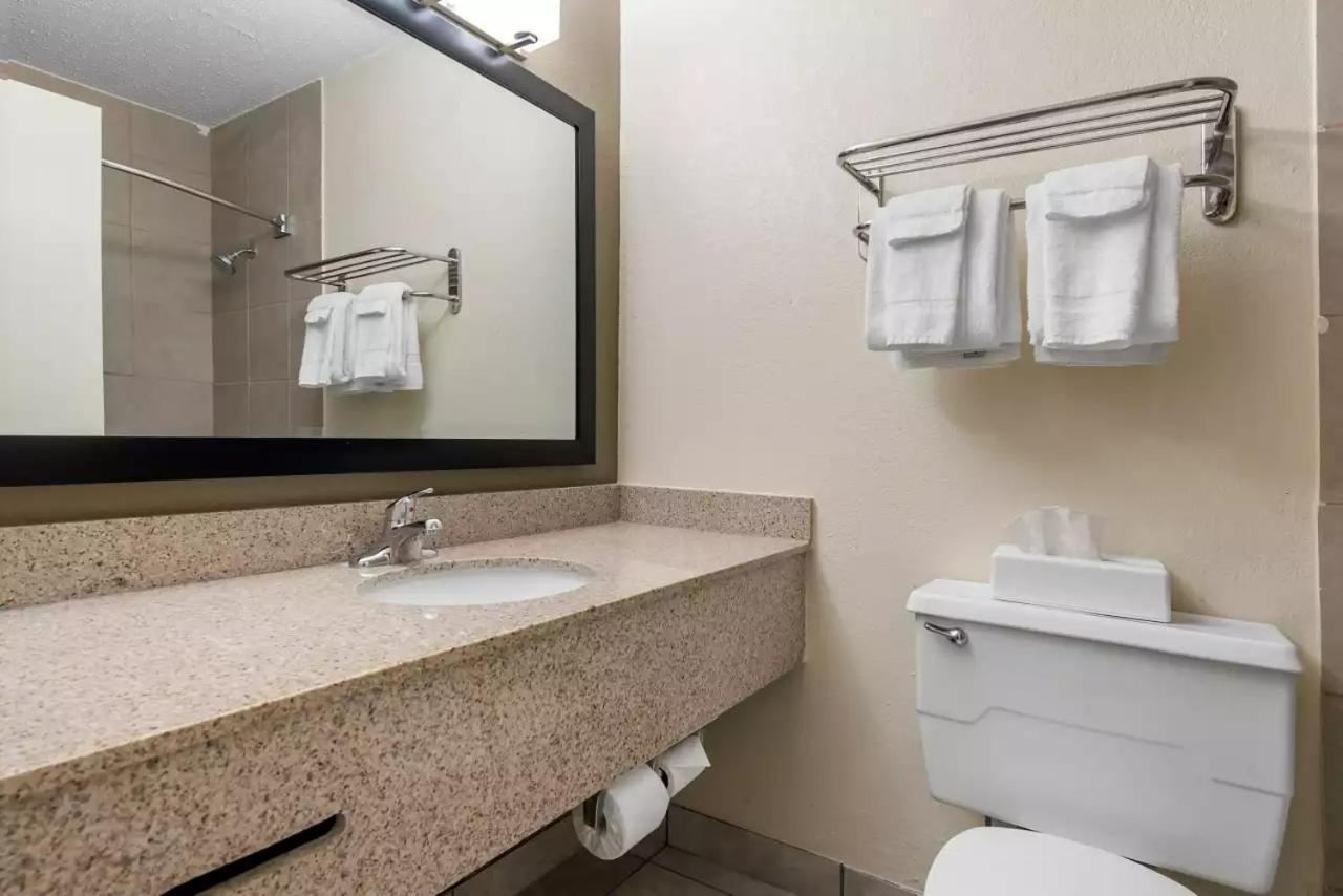 Double Room with Two Double Beds