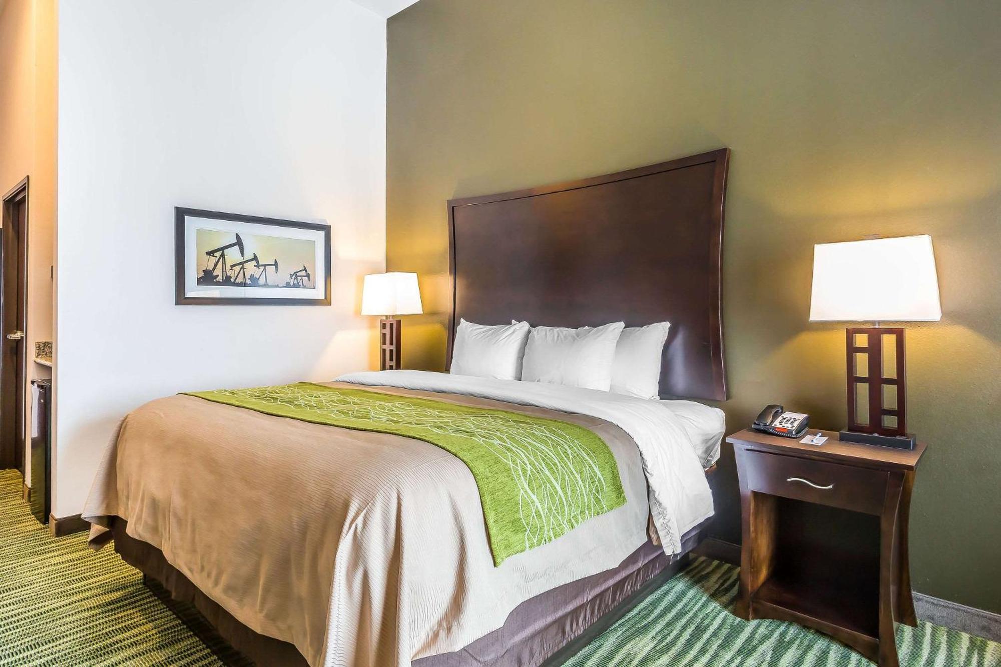 King Suite with Sofa Bed