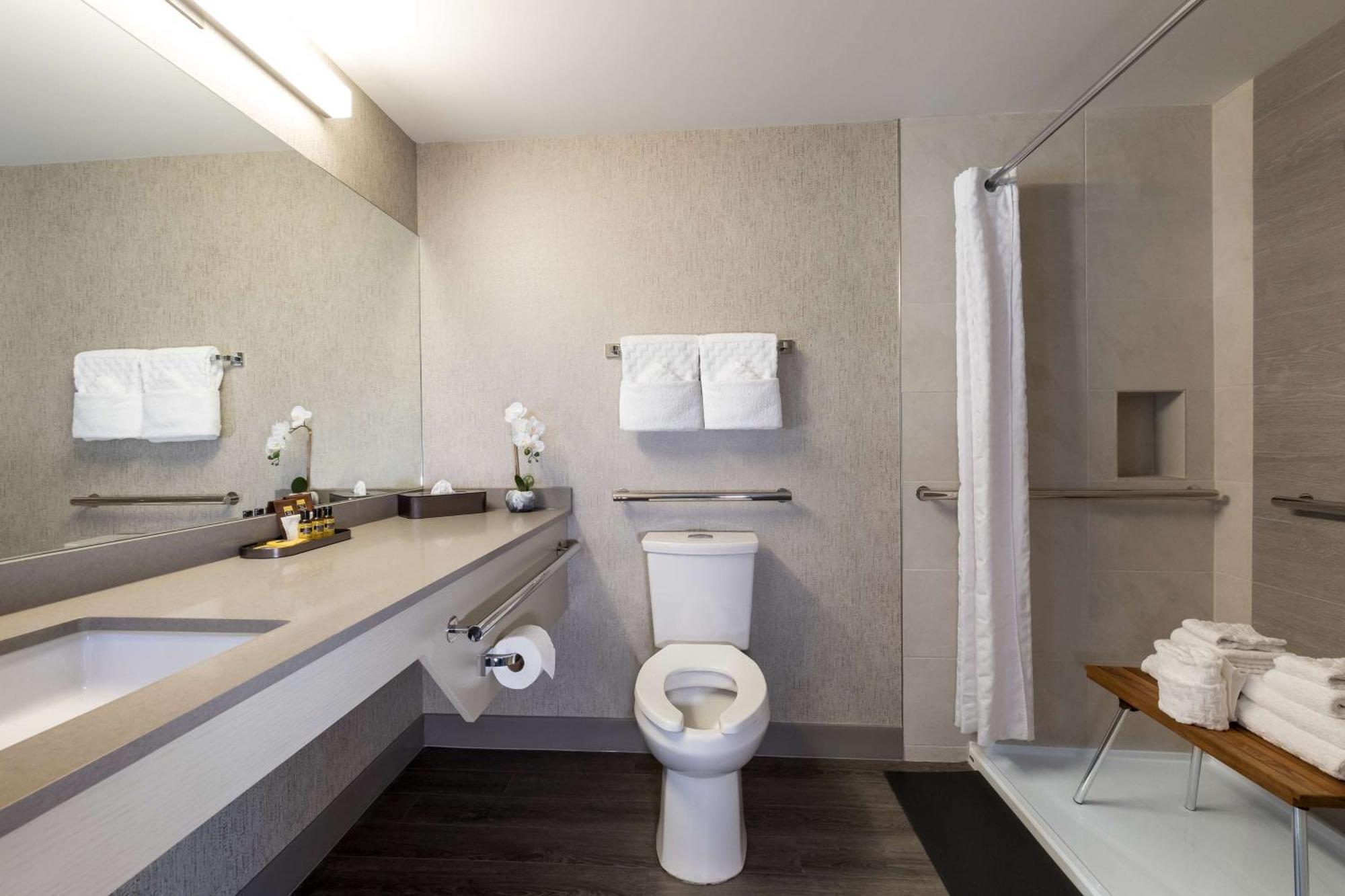 King Room with Roll-In Shower and View - Ground Floor/Pet Friendly/Disability Access/Non-Smoking