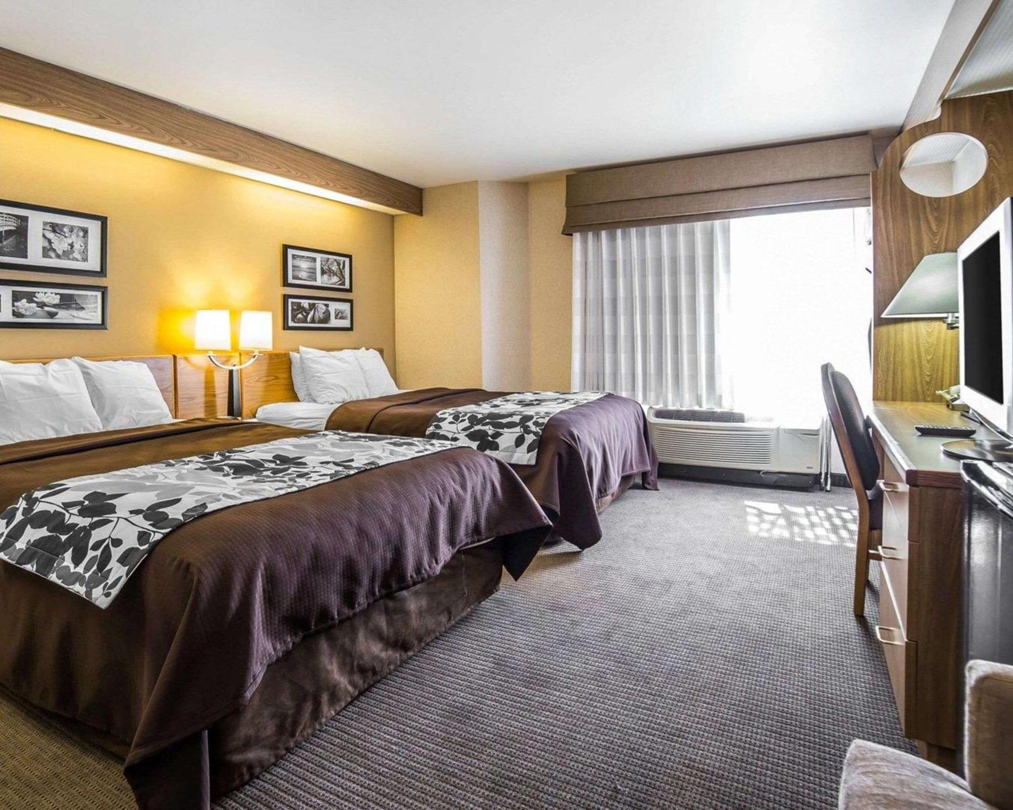 Queen Room with Two Queen Beds - Non-Smoking