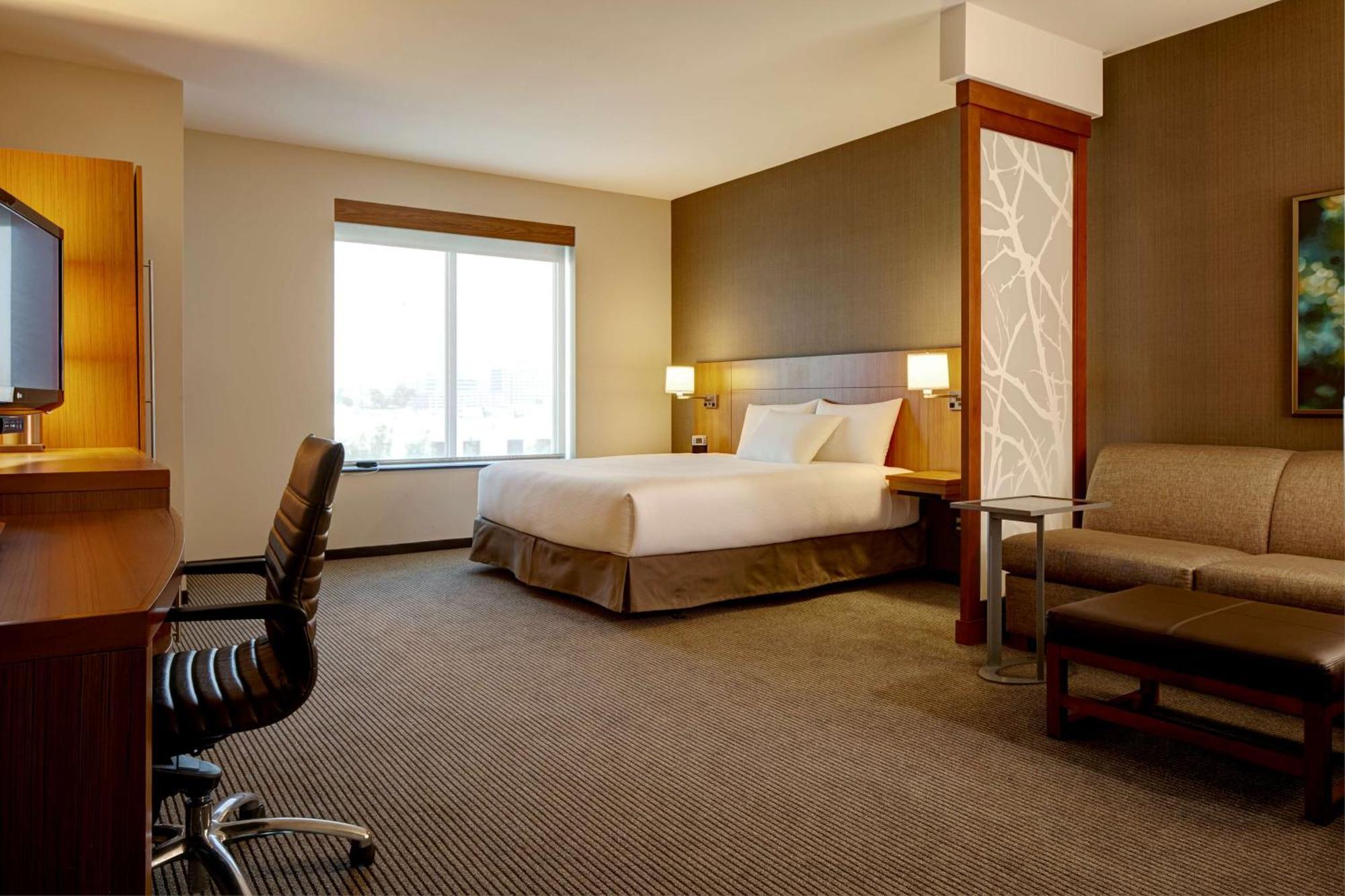 King Suite with Sofa Bed and Roll-In Shower - Disability Access