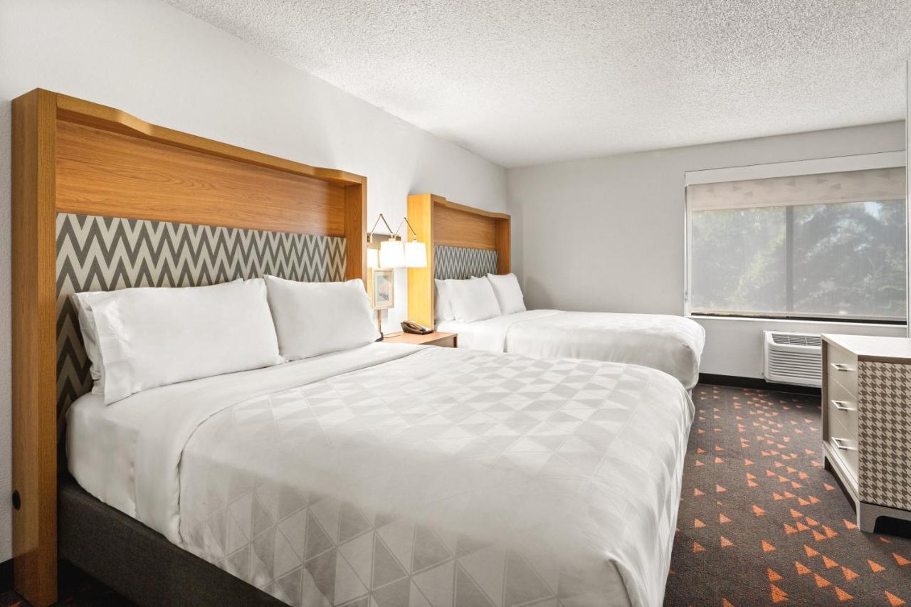Queen Suite with Sofa Bed - Non-Smoking