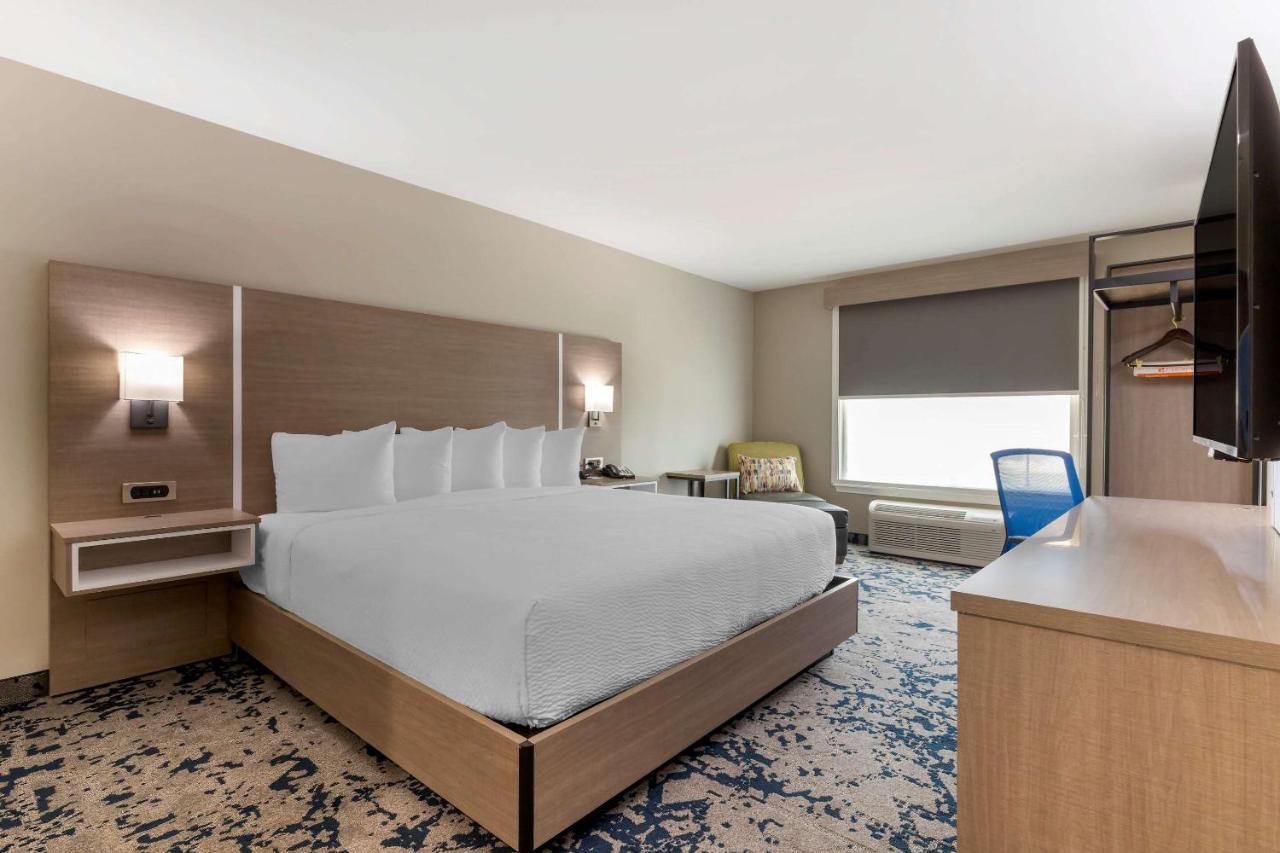 King Suite