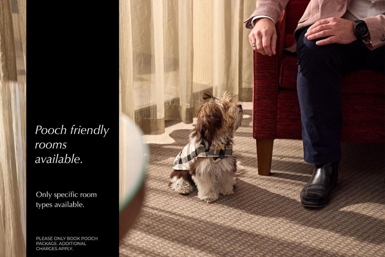 Pet Friendly Harbour View Queen Room,1324100197:JPEG