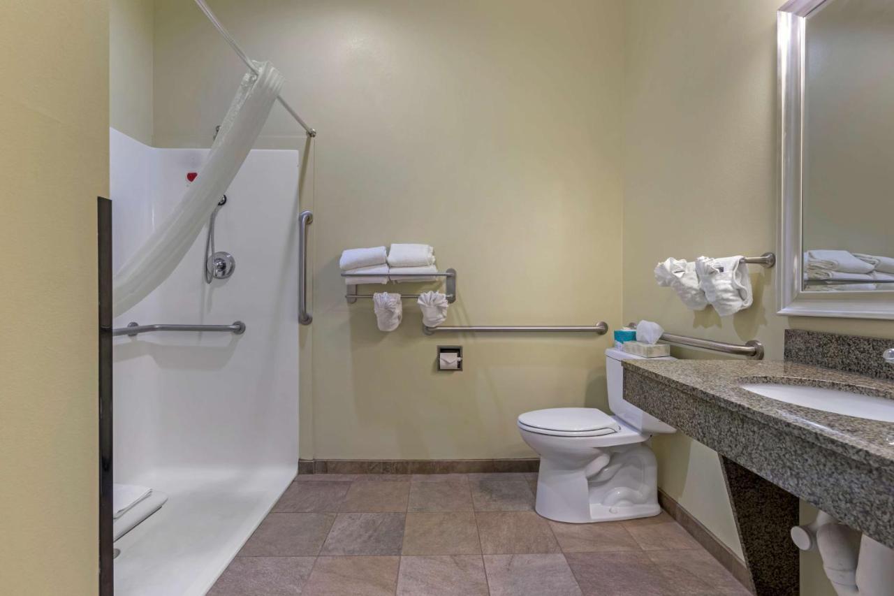 King Room with Mobility Accessible Roll-In Shower and Sofa Bed