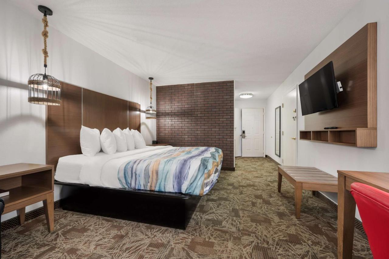 King Room with Roll-In Shower - Disability Access