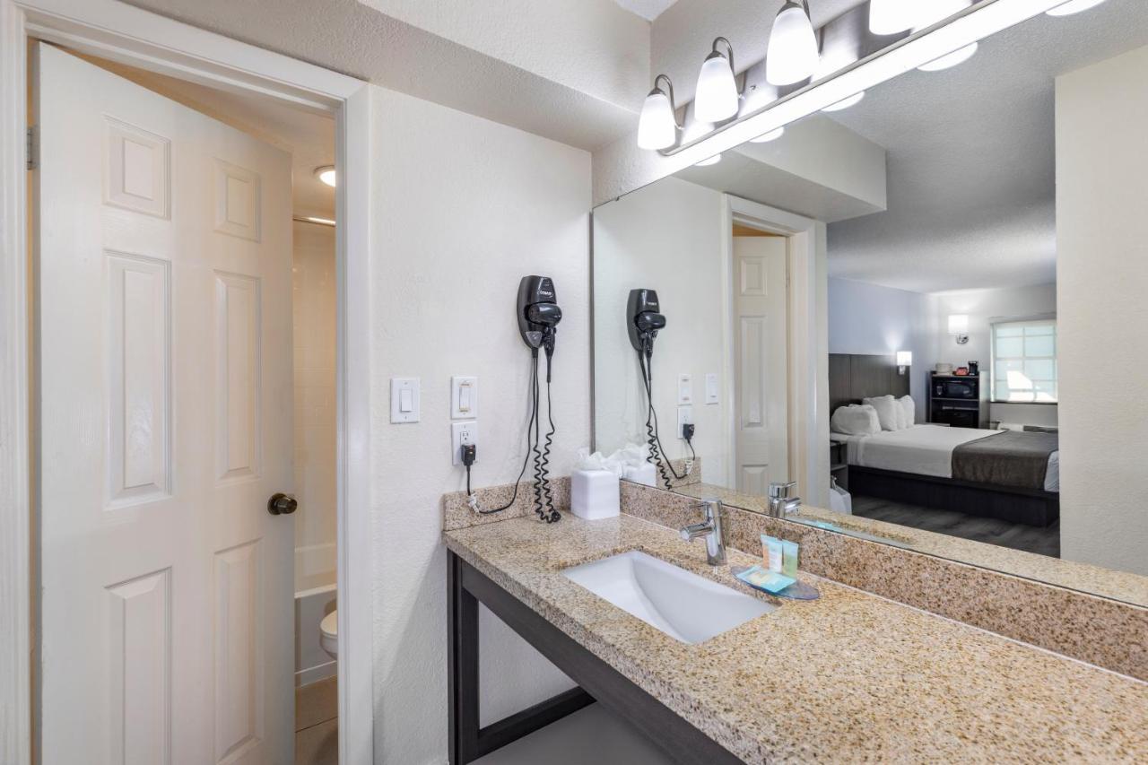 Premium Suite King