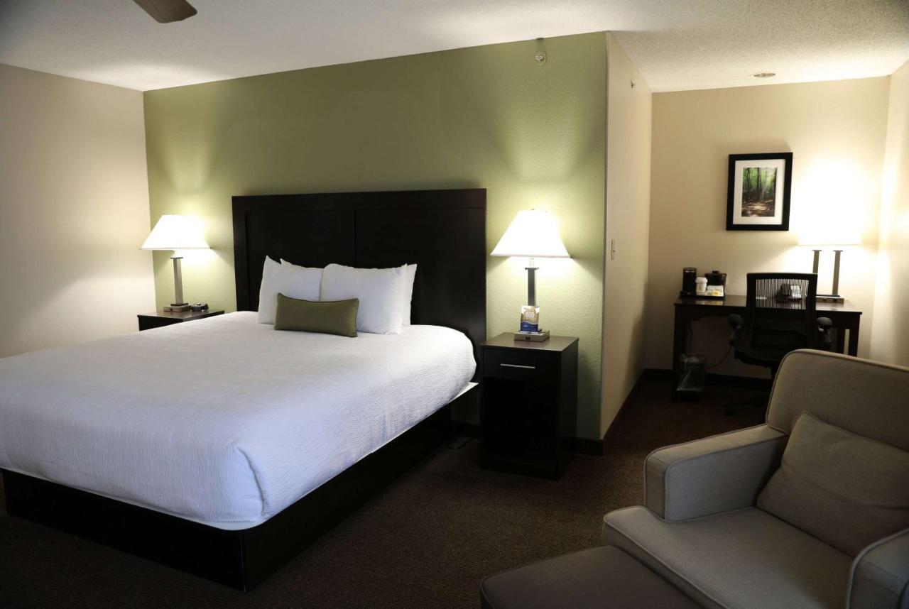 1 King Bed, Studio Suite, Non-Smoking